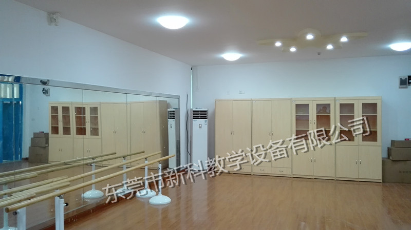 <a href='http://m.taiwanquinoa.com/chanpin/59-1.html' target='1' style='font-size:18px; font-weight:bold; color:#000000;'>舞蹈室</a>
